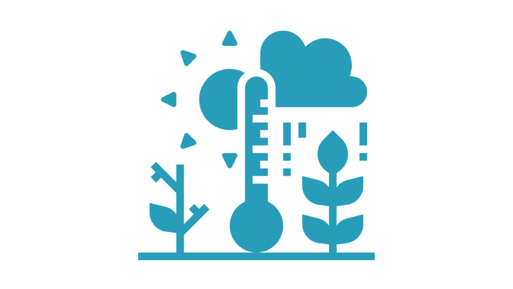 rafraichisseur d'air écologie